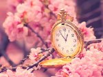 colorful-spring-wallpapers-17.jpg