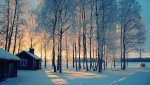 when-this-winter-was-new-mac-wallpapers-hd.jpg