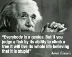 Einstein Quote.jpg