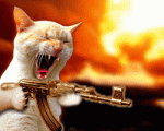 catwithgun030325.gif