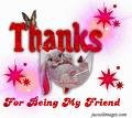 thanks for friend.jpeg