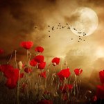 Desktop Background.JPG