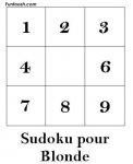 sudoku_blonde.jpg