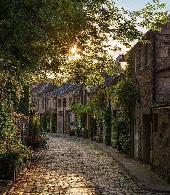 Beautiful streets of Edinburg uploaded by Fred