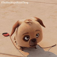 Little Dog GIF by Treehouse Direct