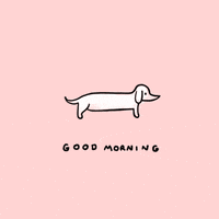 Good Morning Dog GIF by Stefanie Shank