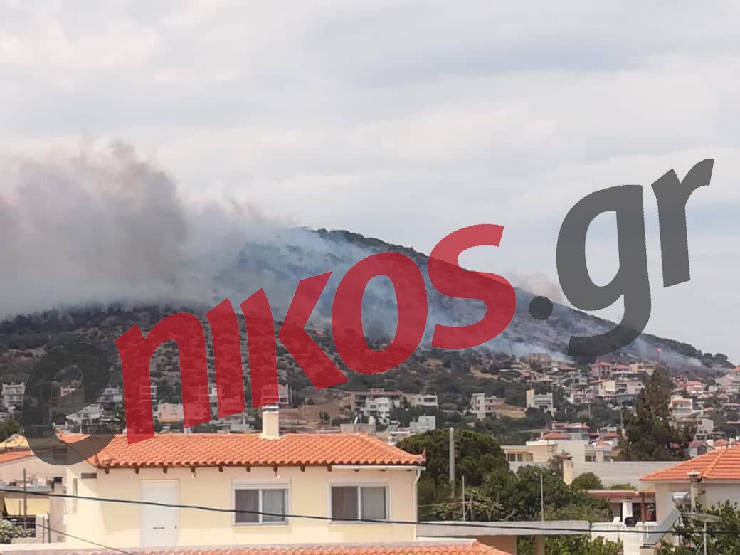 www.enikos.gr